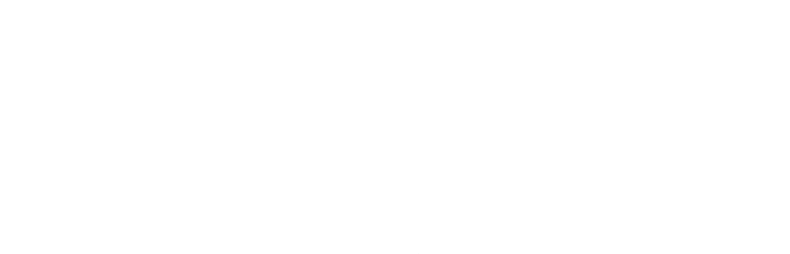 meet the team – white graphic (top)