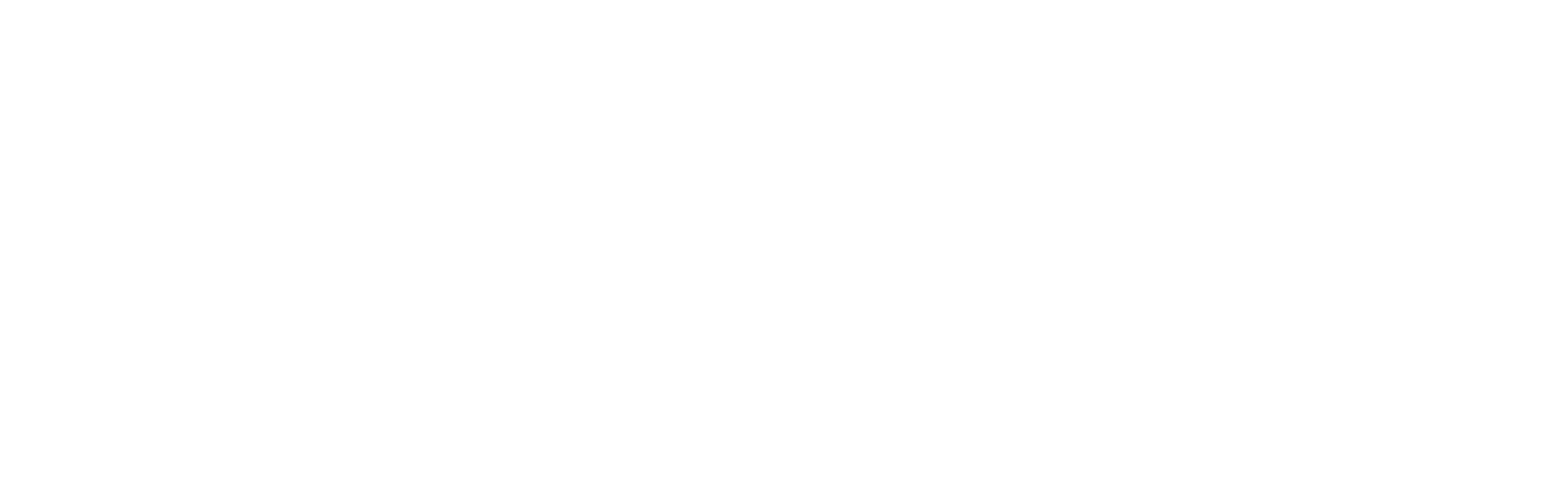 our services – white graphic (top)